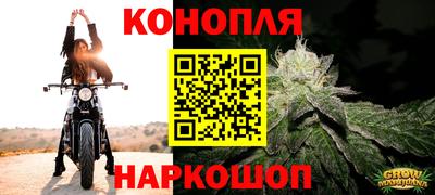прущие крисы Краснокаменск