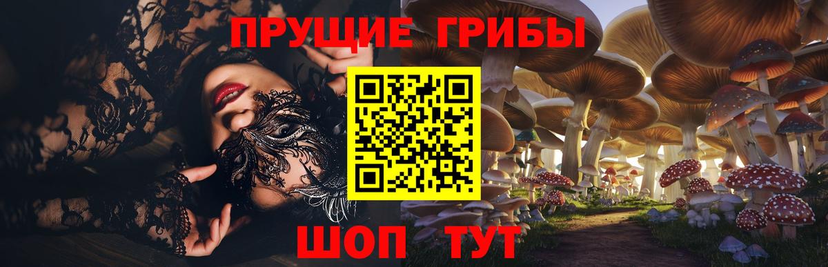 Щёлково  Галлюциногенные грибы мицелий  Вход с VPN 